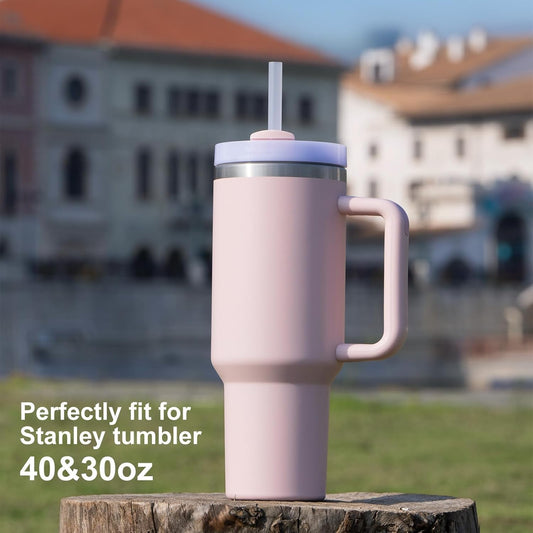 Stainless Steel Tumbler Hot and Cold with Handle and Lid Straw, Double Insulated Cup 100% Leak Proof Mug Cupholder